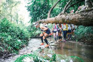 BIB: 
                            <button type="button" onclick="openModal(25467281)" class="btn btn-primary btn-sm float-right btn-popup" data-toggle="modal" data-target=".modal-high-quality">
                        <i class="fas fa-shopping-cart"></i> Add to Cart
                    </button>
                                            <button type="button" onclick="isThisMe(25467281, true)" class="btn btn-success btn-sm float-right btn-popup btn-isme hidden" data-toggle="tooltip" data-placement="bottom" title="นี่คือรูปของคุณใช่ไหม คลิกที่นี่เพื่อเอาเข้าอัลบั้ม">
                        <i class="fas fa-plus"></i> Add to album
                    </button>
                    <button type="button" onclick="isThisMe(25467281, false)" class="btn btn-warning btn-sm float-right btn-popup btn-isnotme hidden">
                        <i class="fas fa-ban"></i> Remove from album
                    </button>